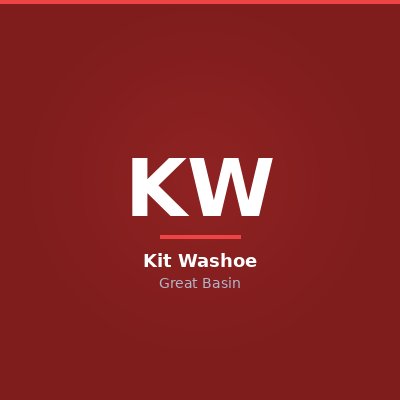 Kit Washoe